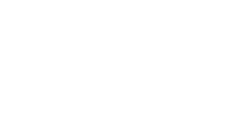 LANN 蘭